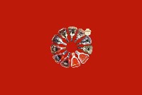遂川回收红酒